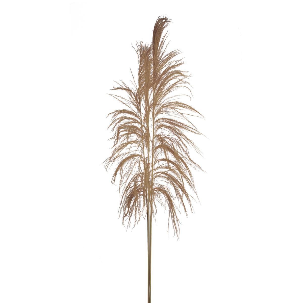 Fiore rametto cana brava naturale 200 cm