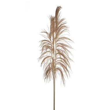Fiore rametto cana brava naturale 200 cm
