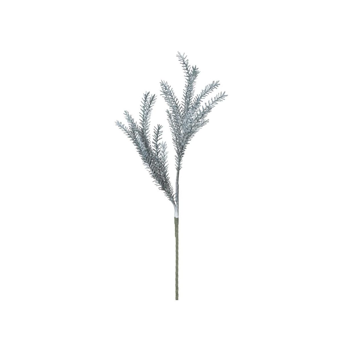 Fiore bulrush blu