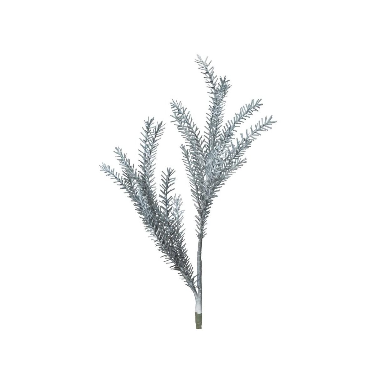 Fiore bulrush blu