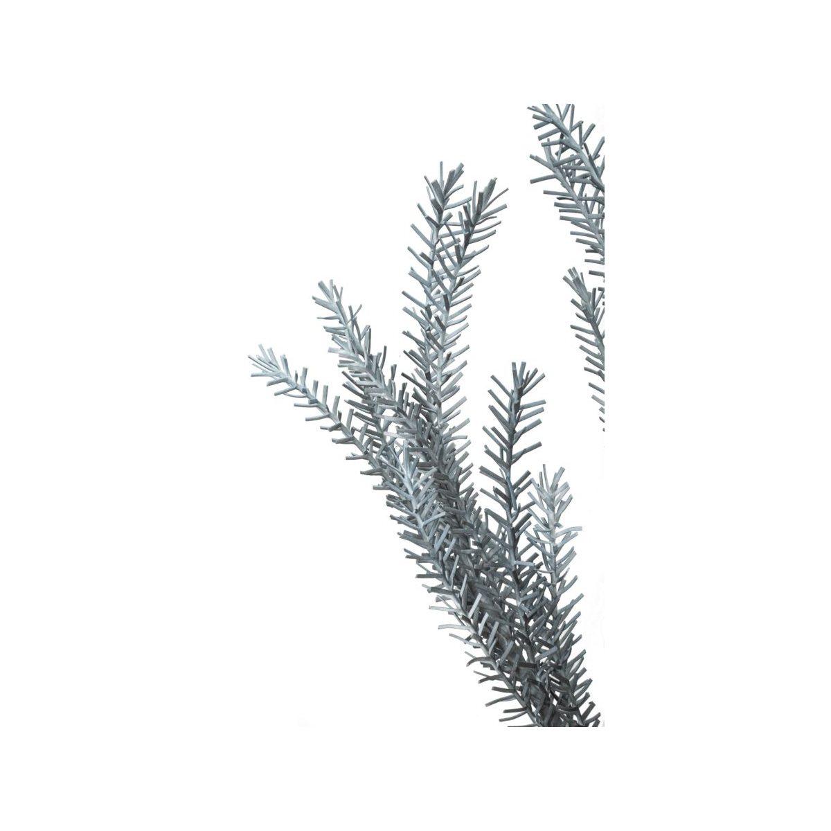 Fiore bulrush blu
