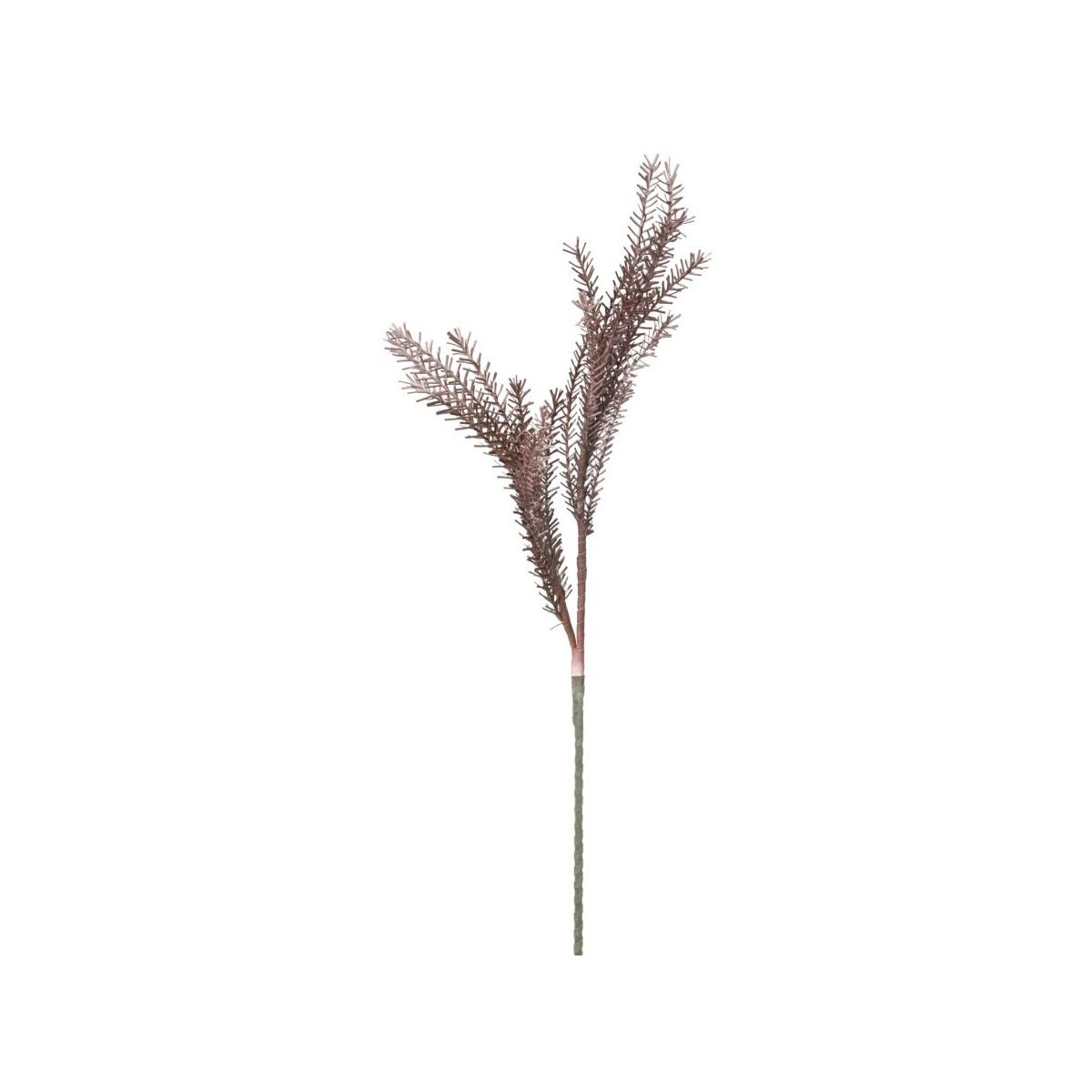 Fiore bulrush rosso