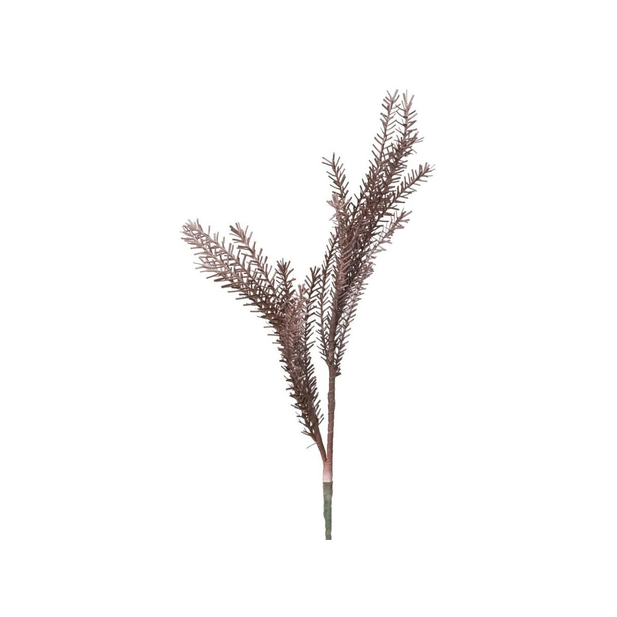 Fiore bulrush rosso