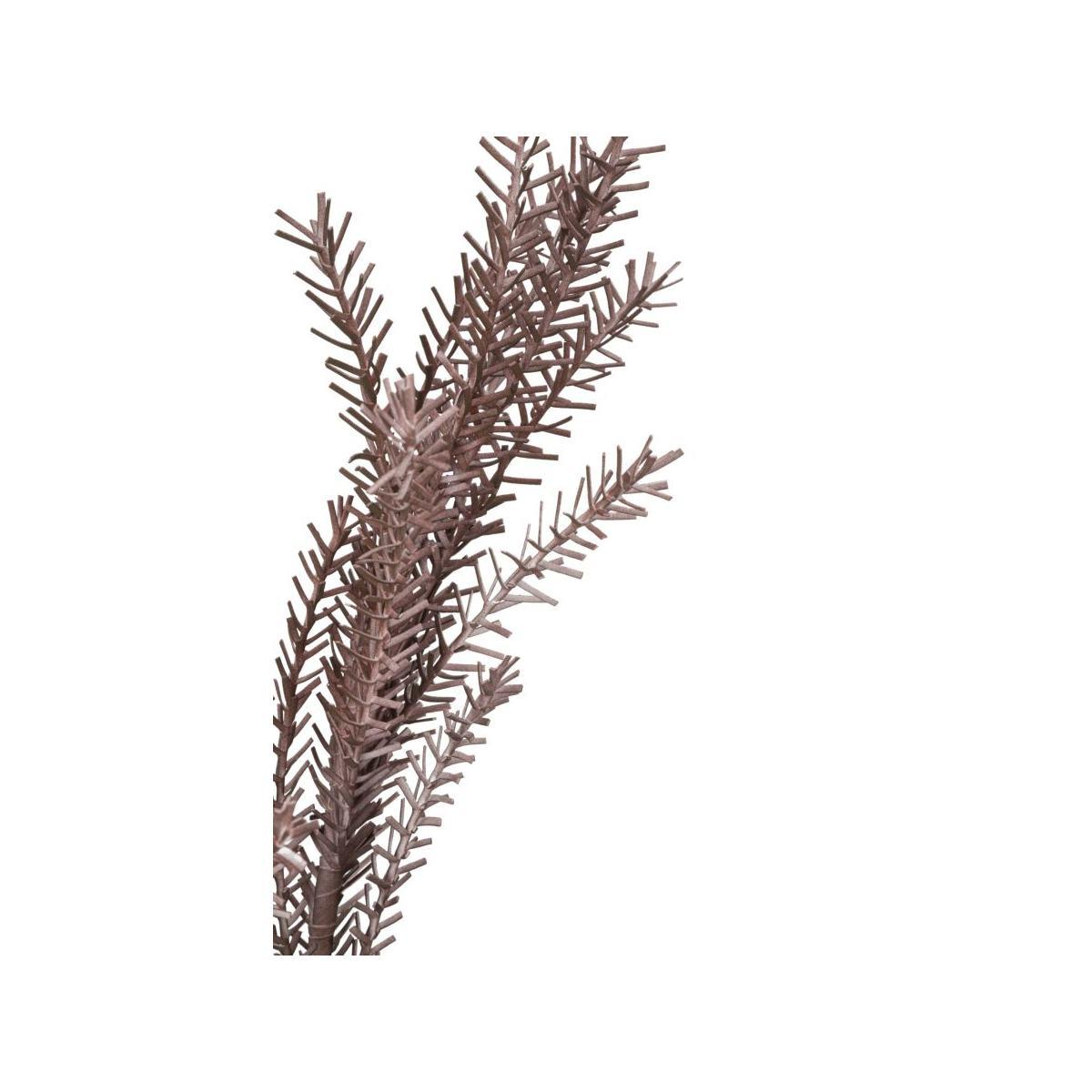 Fiore bulrush rosso