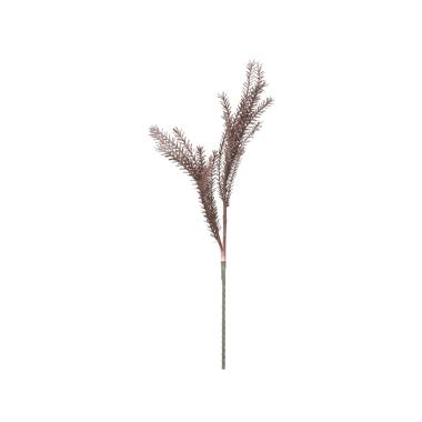 Fiore bulrush rosso