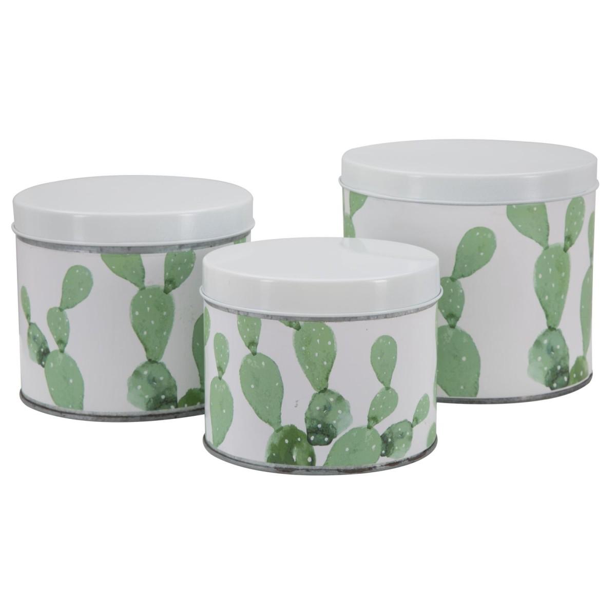 Cofanetti in latta cactus Set 3 pz