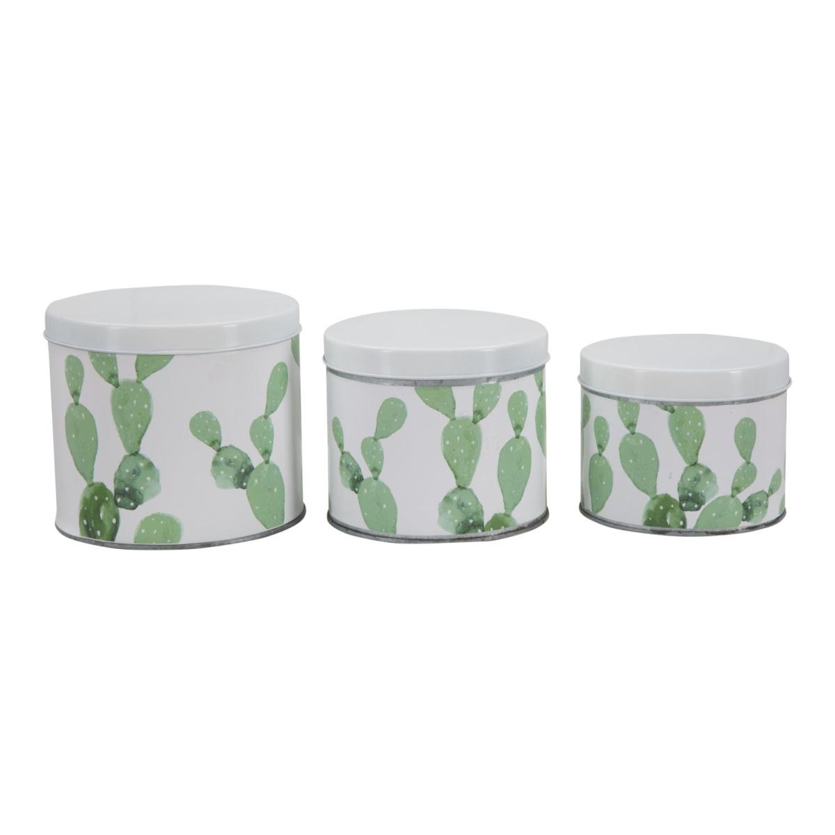 Cofanetti in latta cactus Set 3 pz