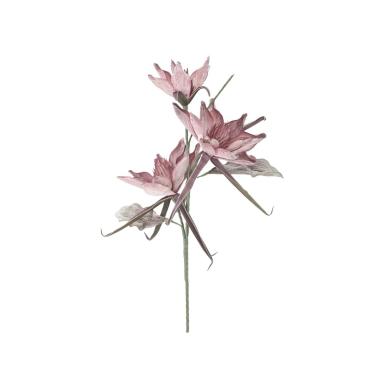 Fiore epiphy hum x3 rosa