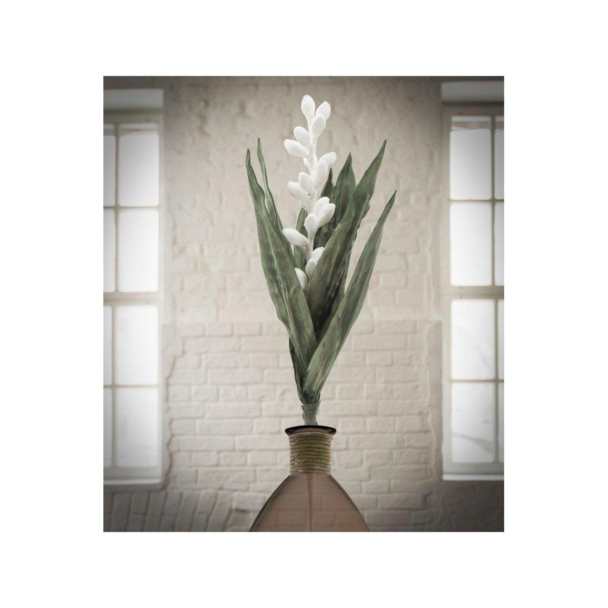 Fiore aloe flower bianco