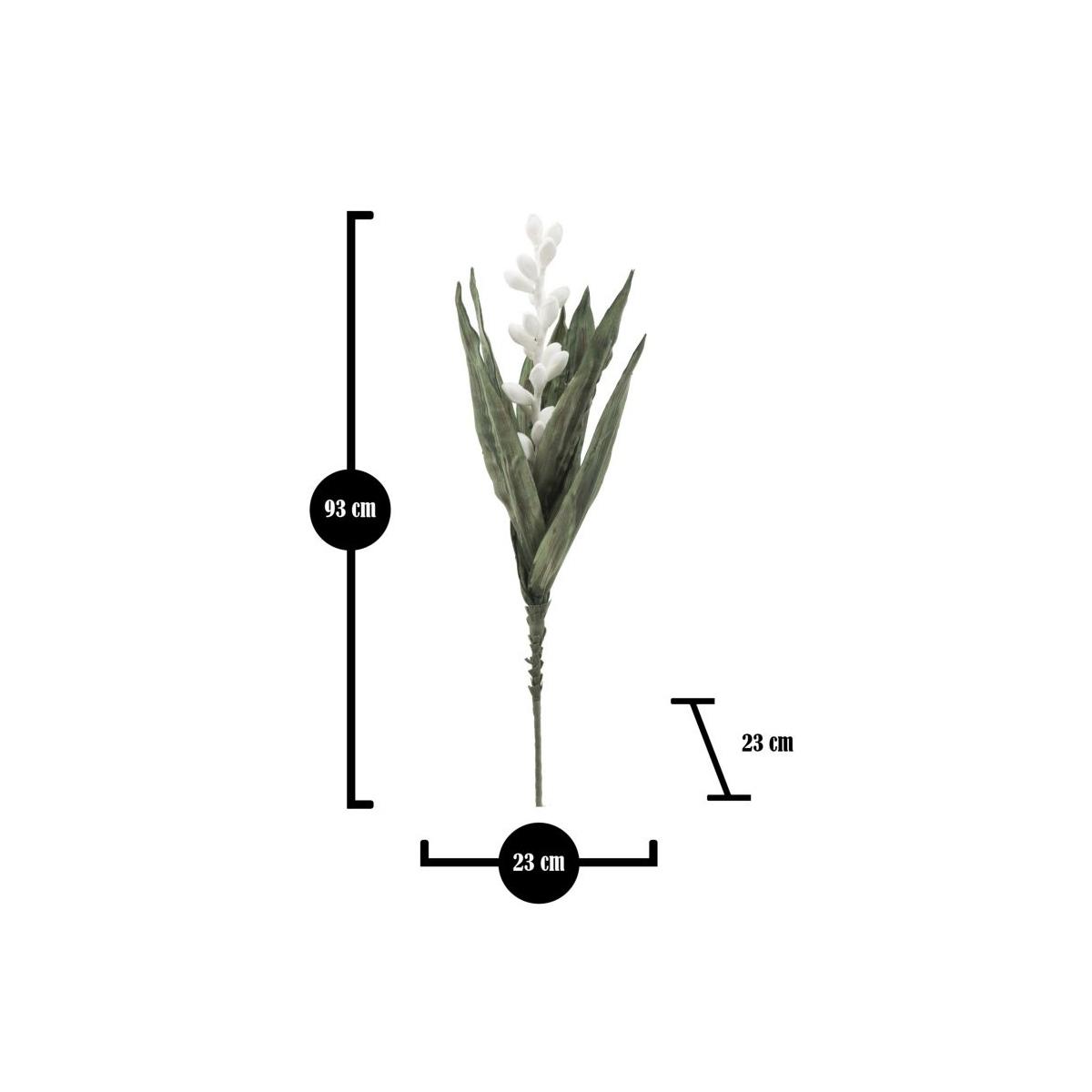 Fiore aloe flower bianco