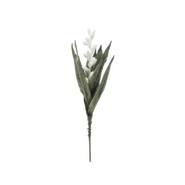 Fiore aloe flower bianco