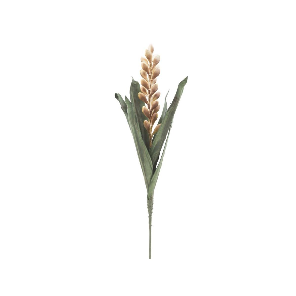 Fiore aloe flower giallo