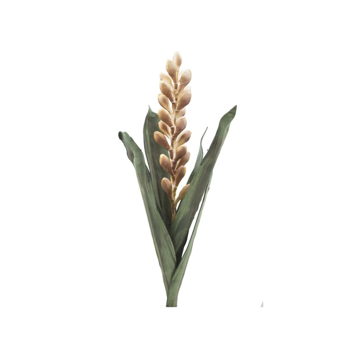 Fiore aloe flower giallo