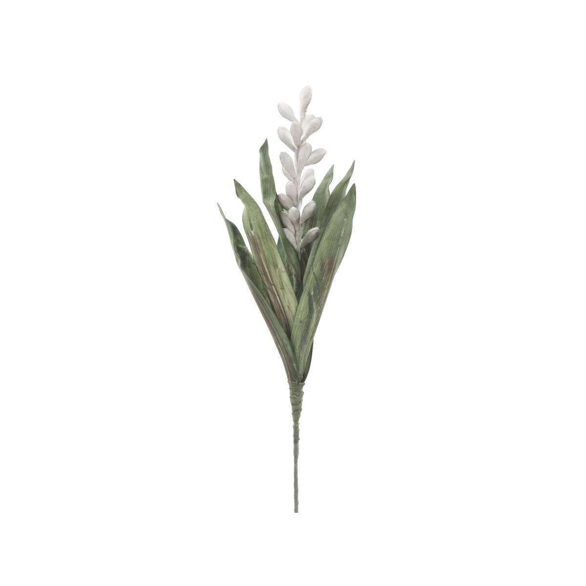 Fiore aloe flower grigio