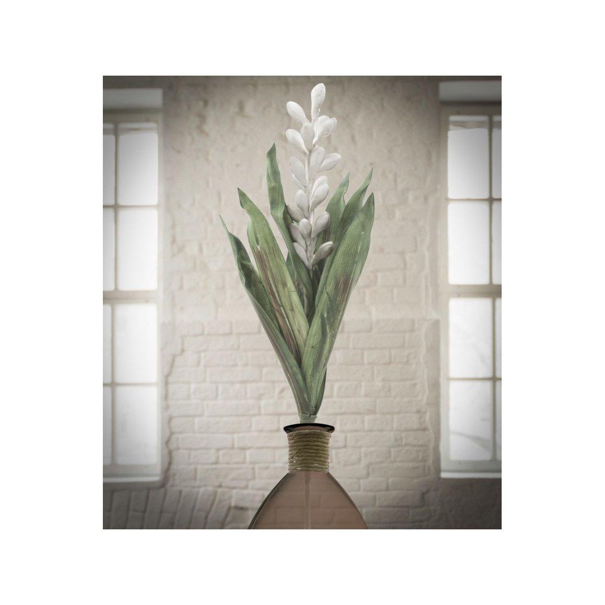 Fiore aloe flower grigio