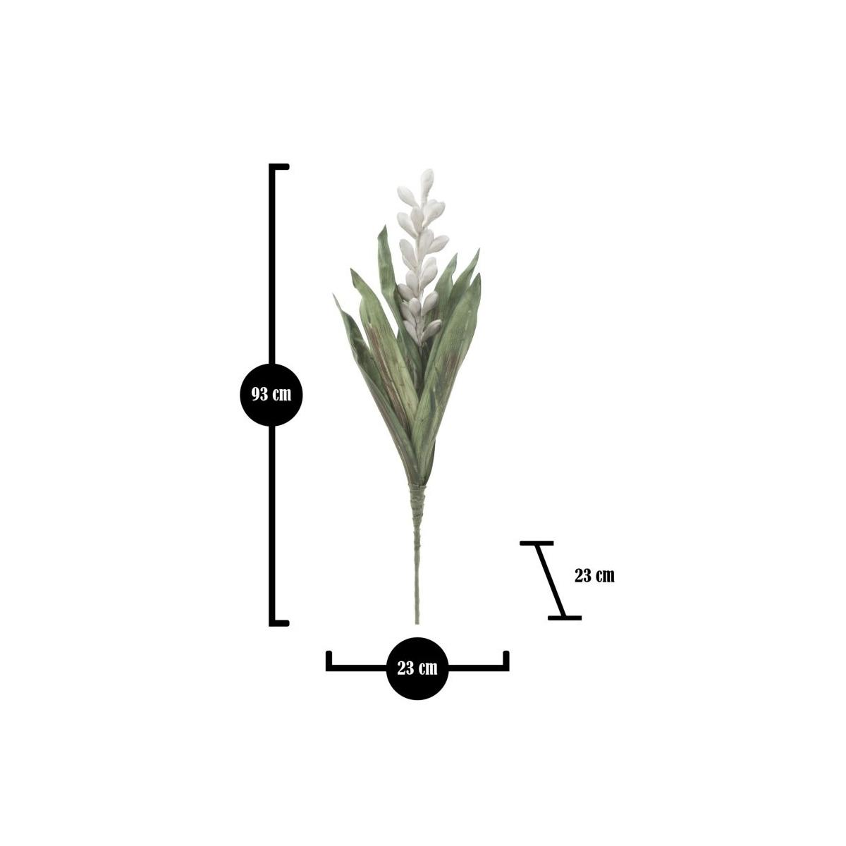 Fiore aloe flower grigio