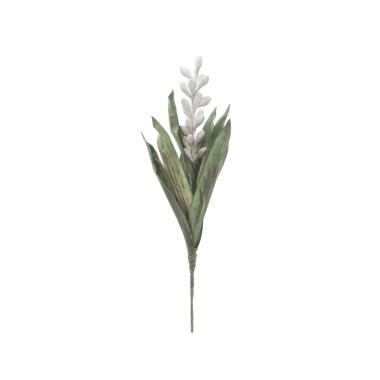 Fiore aloe flower grigio