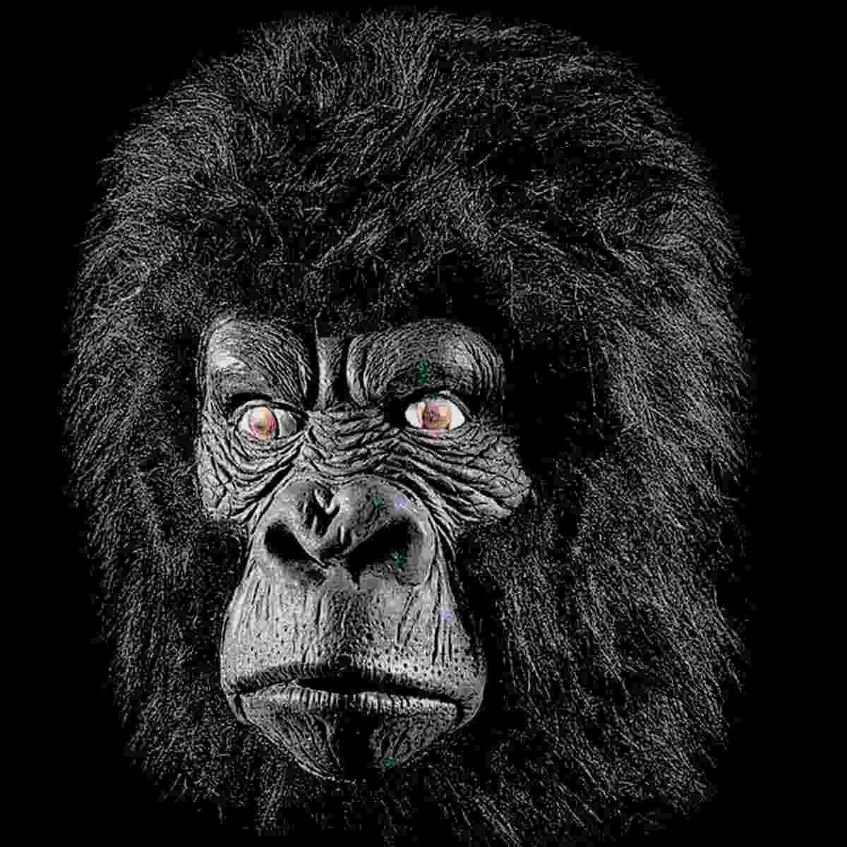 Maschera viso lattice gorilla