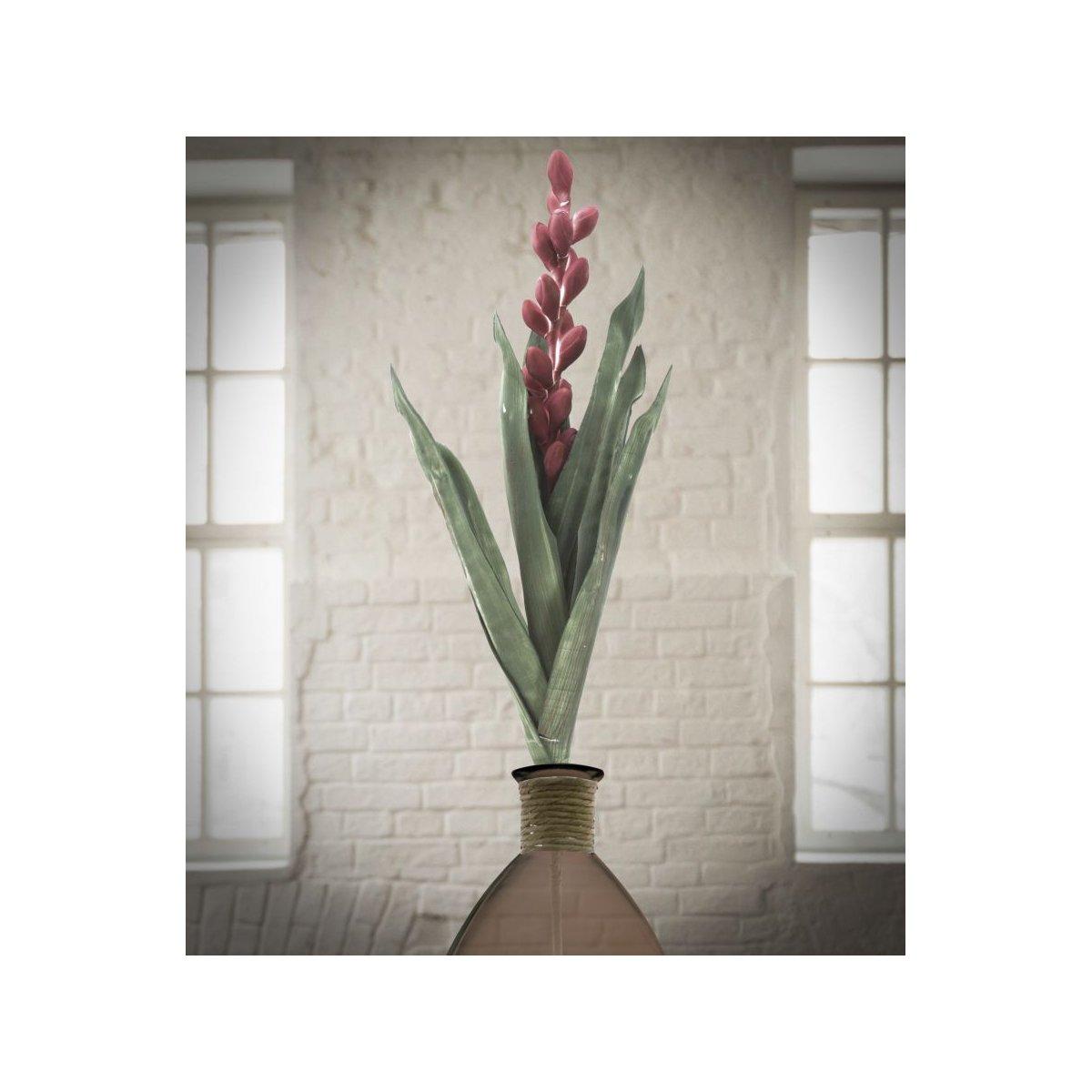 Fiore aloe flower rosa