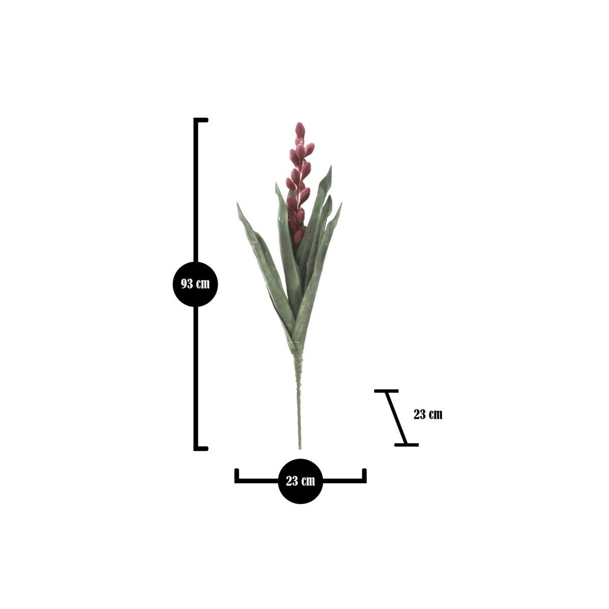 Fiore aloe flower rosa