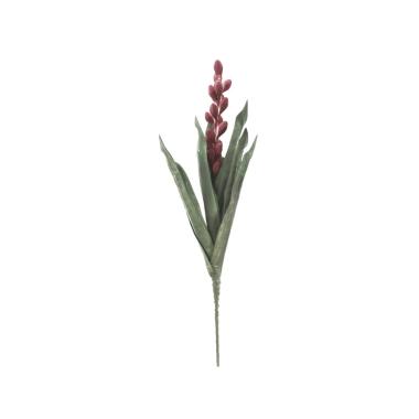 Fiore aloe flower rosa