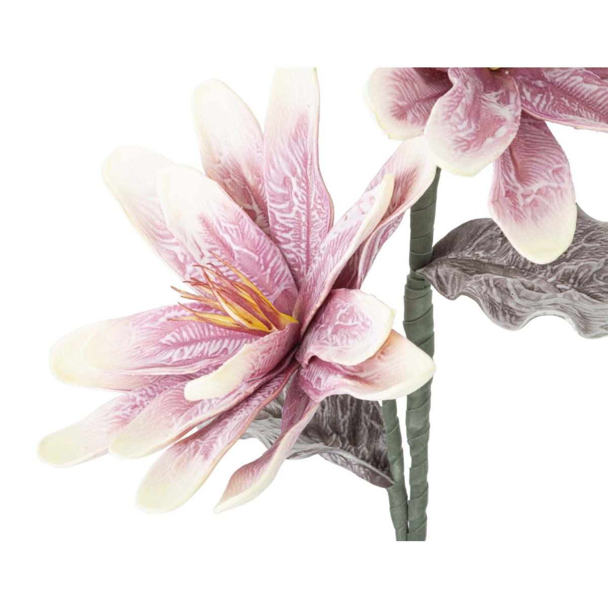 Fiore magnolia x2 purple