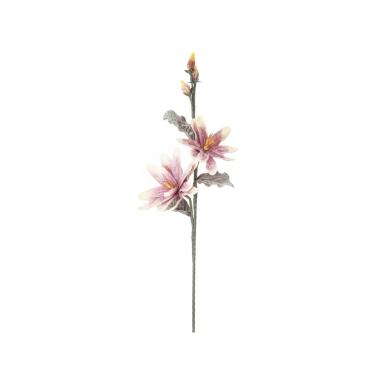Fiore magnolia x2 purple
