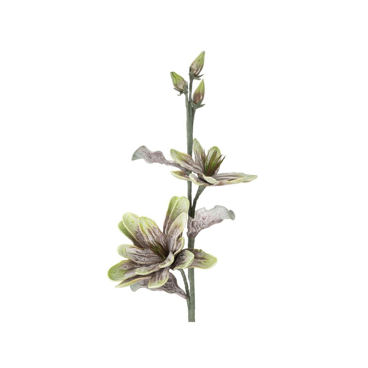 Fiore magnolia x2 verde