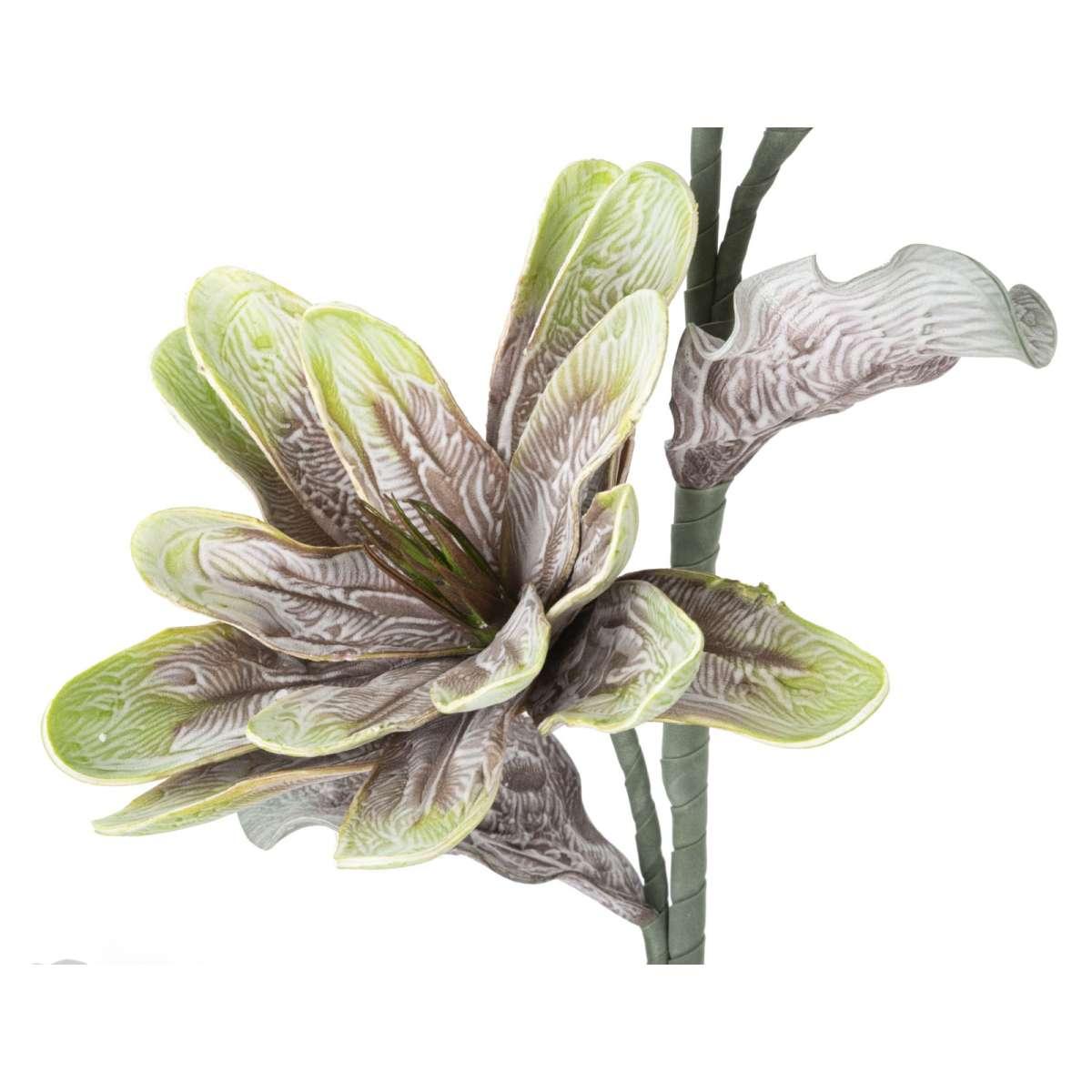 Fiore magnolia x2 verde