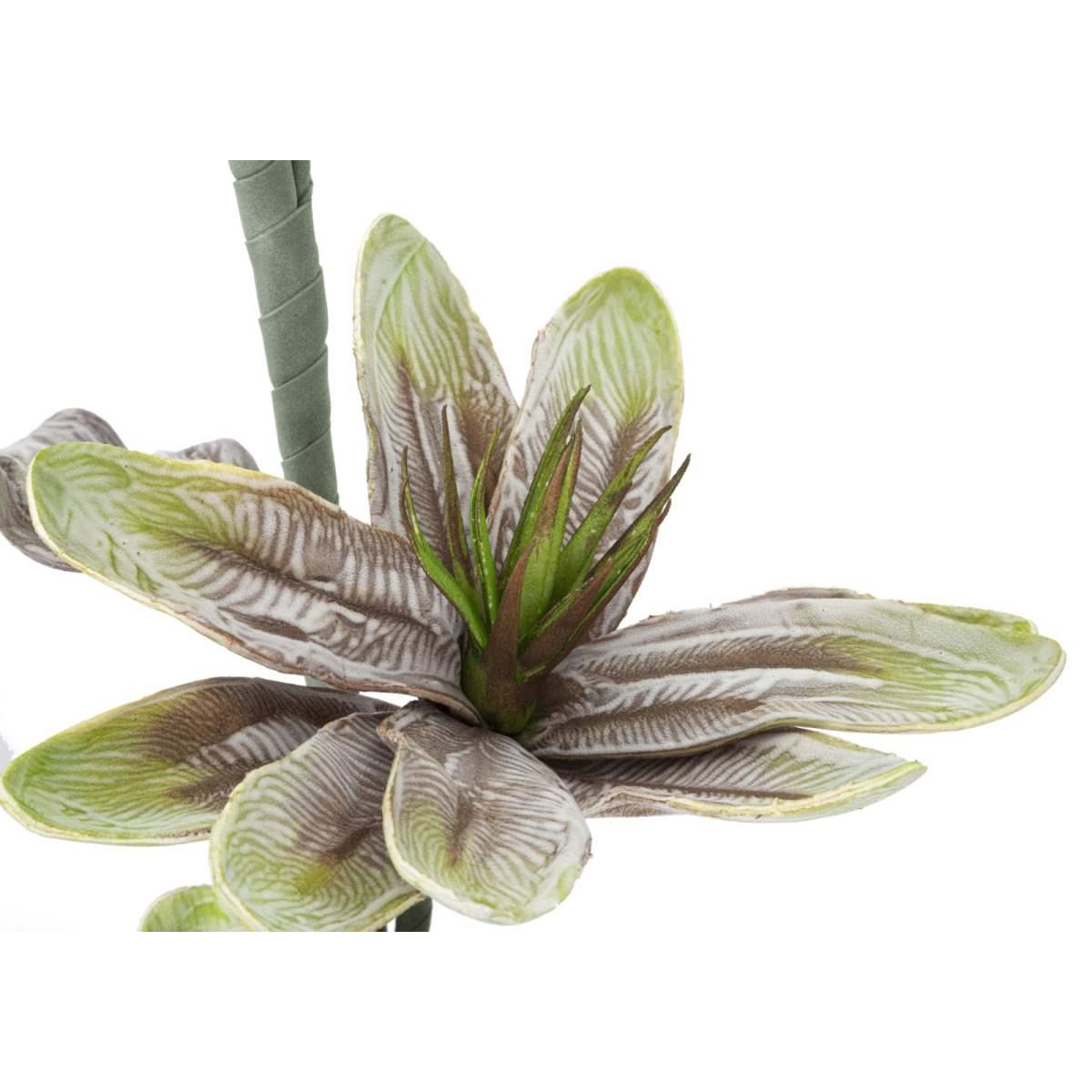 Fiore magnolia x2 verde