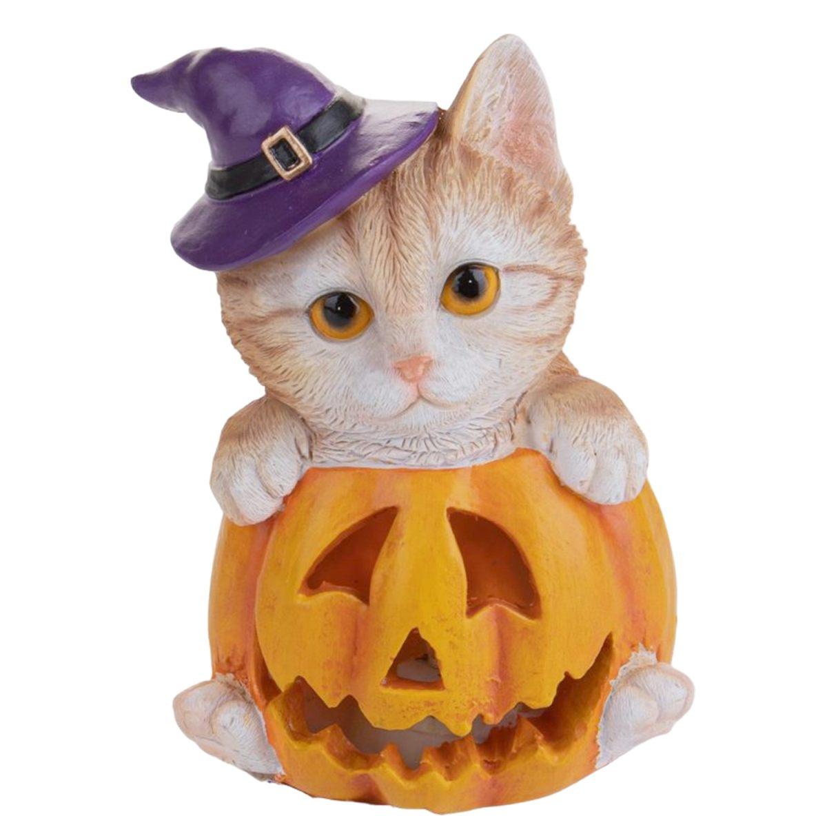 Zucca resina gatto luce led