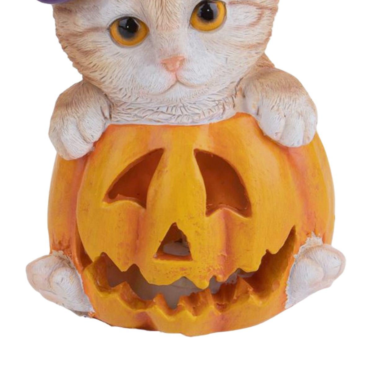 Zucca resina gatto luce led