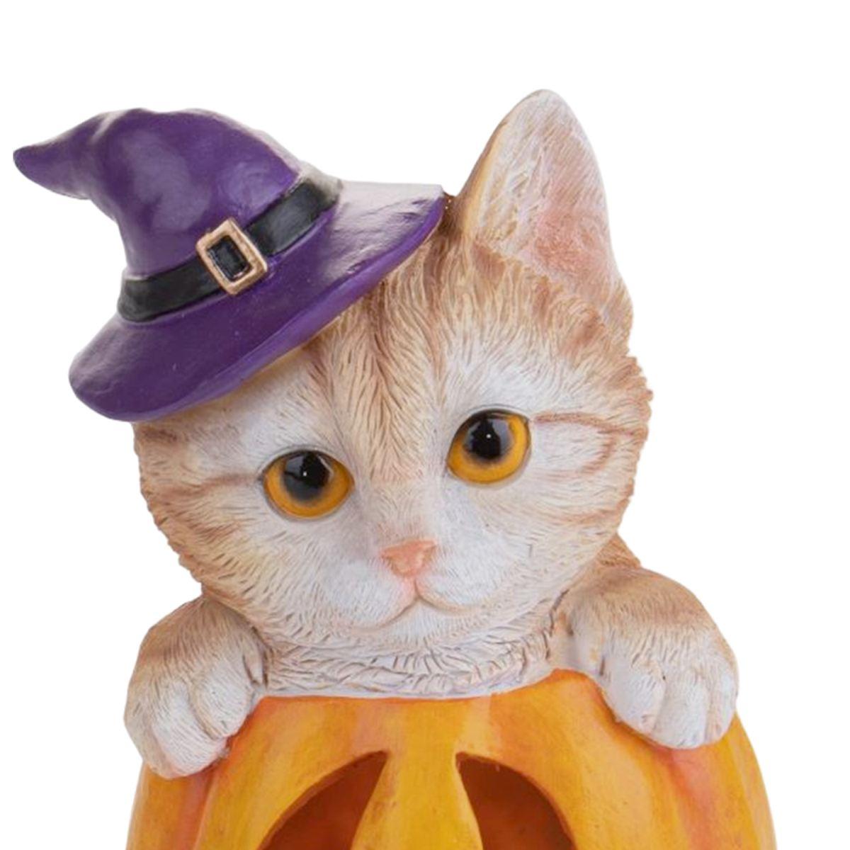 Zucca resina gatto luce led