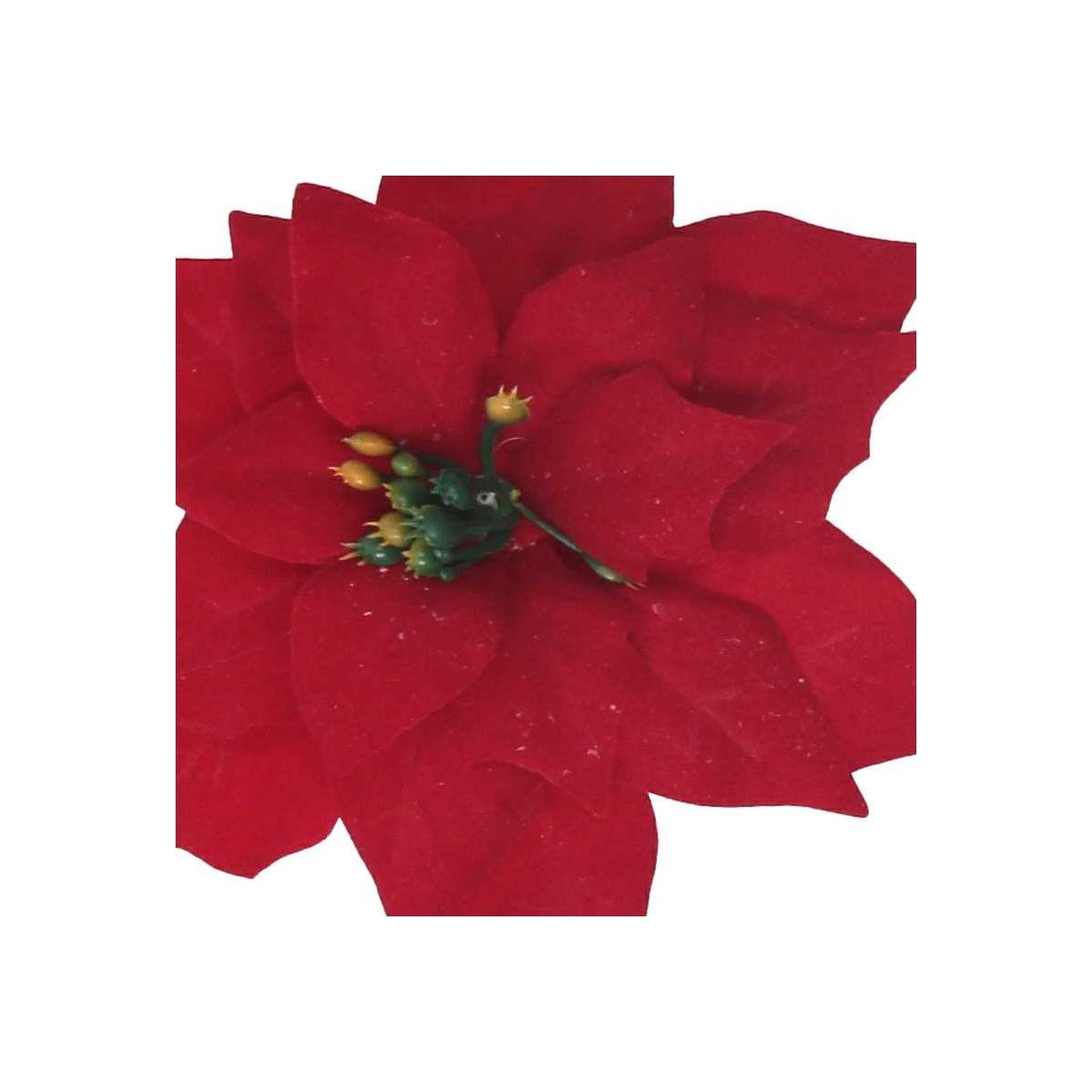 Fiore natale stella rossa 14 x 20 cm