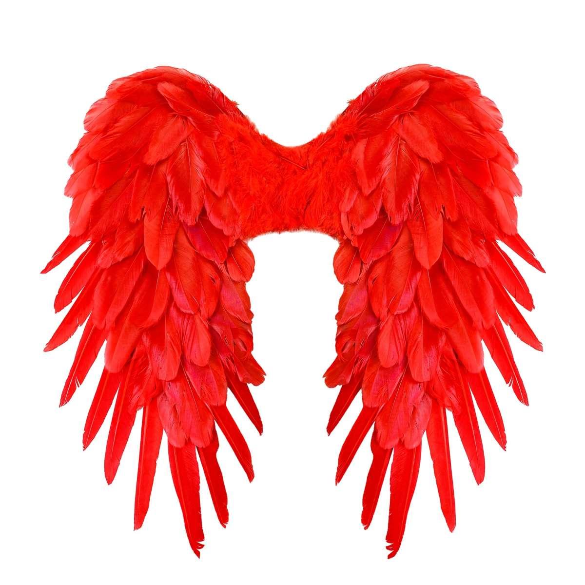Ali piumate rosse