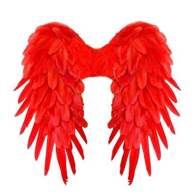 Ali piumate rosse