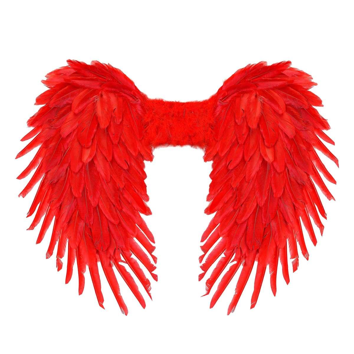 Ali piumate rosse