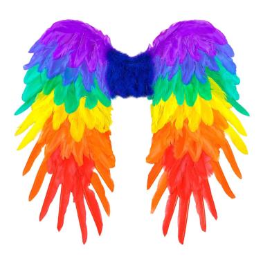 Ali piumate arcobaleno multicolor