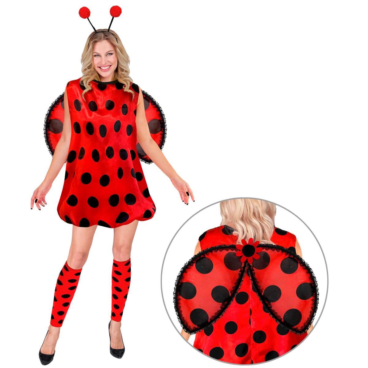 Costume coccinella