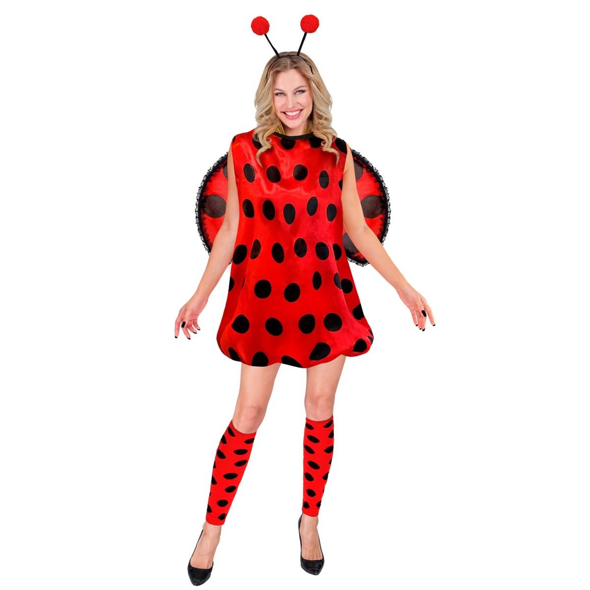 Costume coccinella