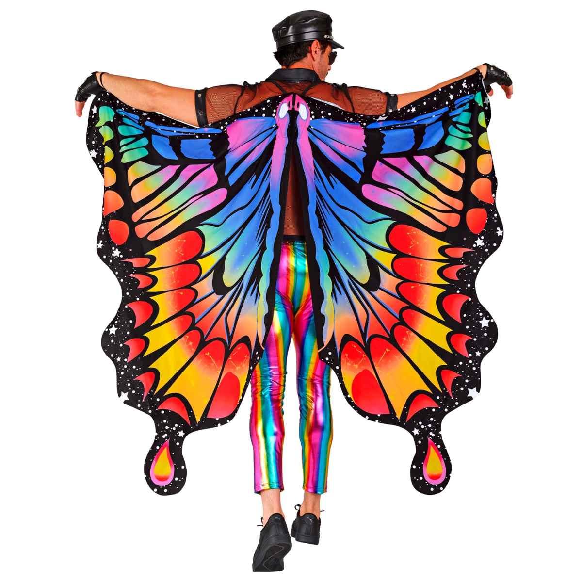 Ali farfalla multicolor arcobaleno