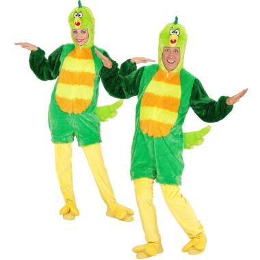 Costume uccello verde
