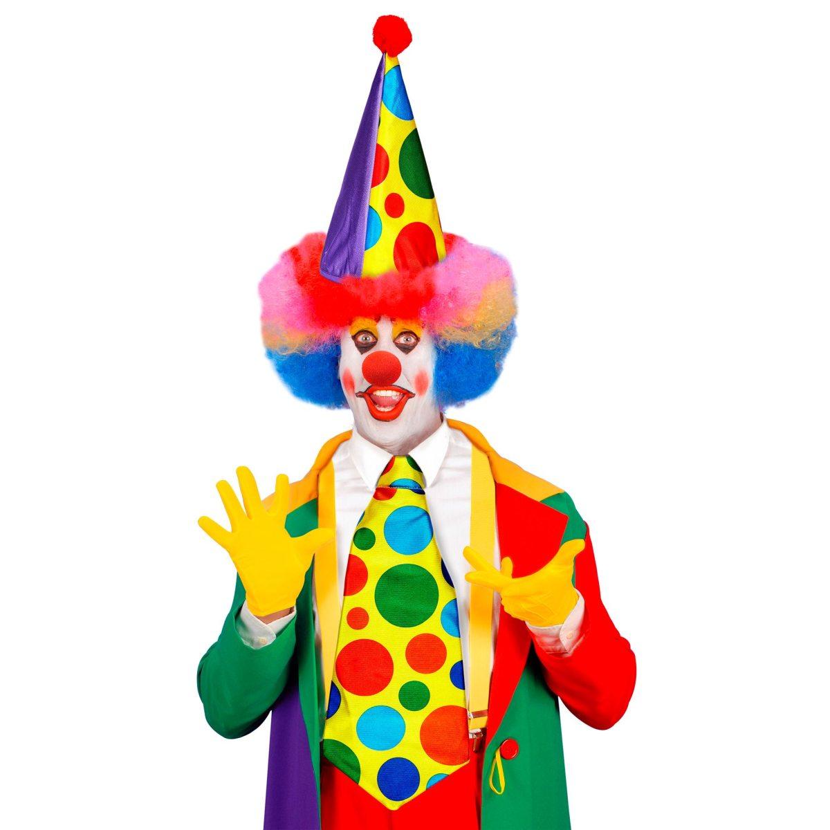 Clown cappello cravatta naso