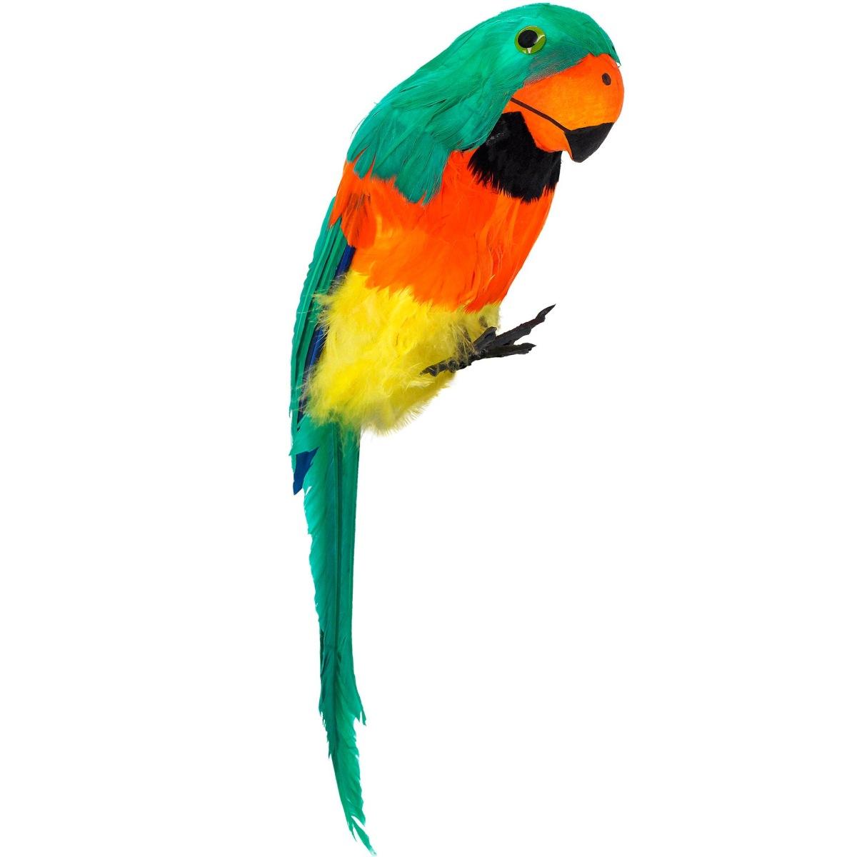Pappagallo piume verdi