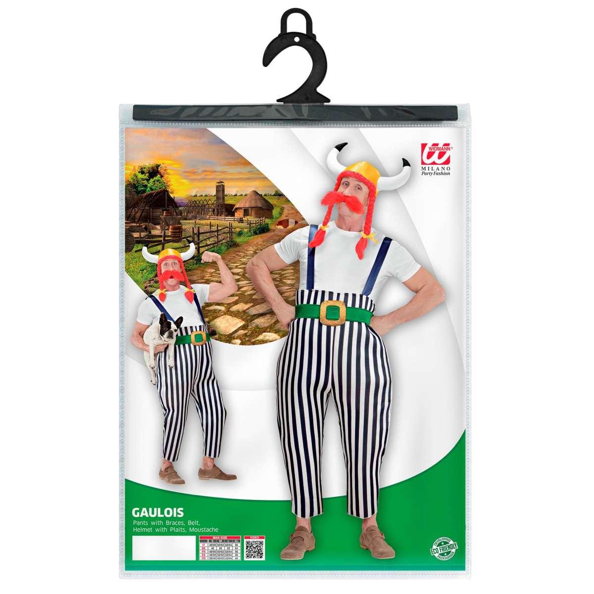 Costume obelix