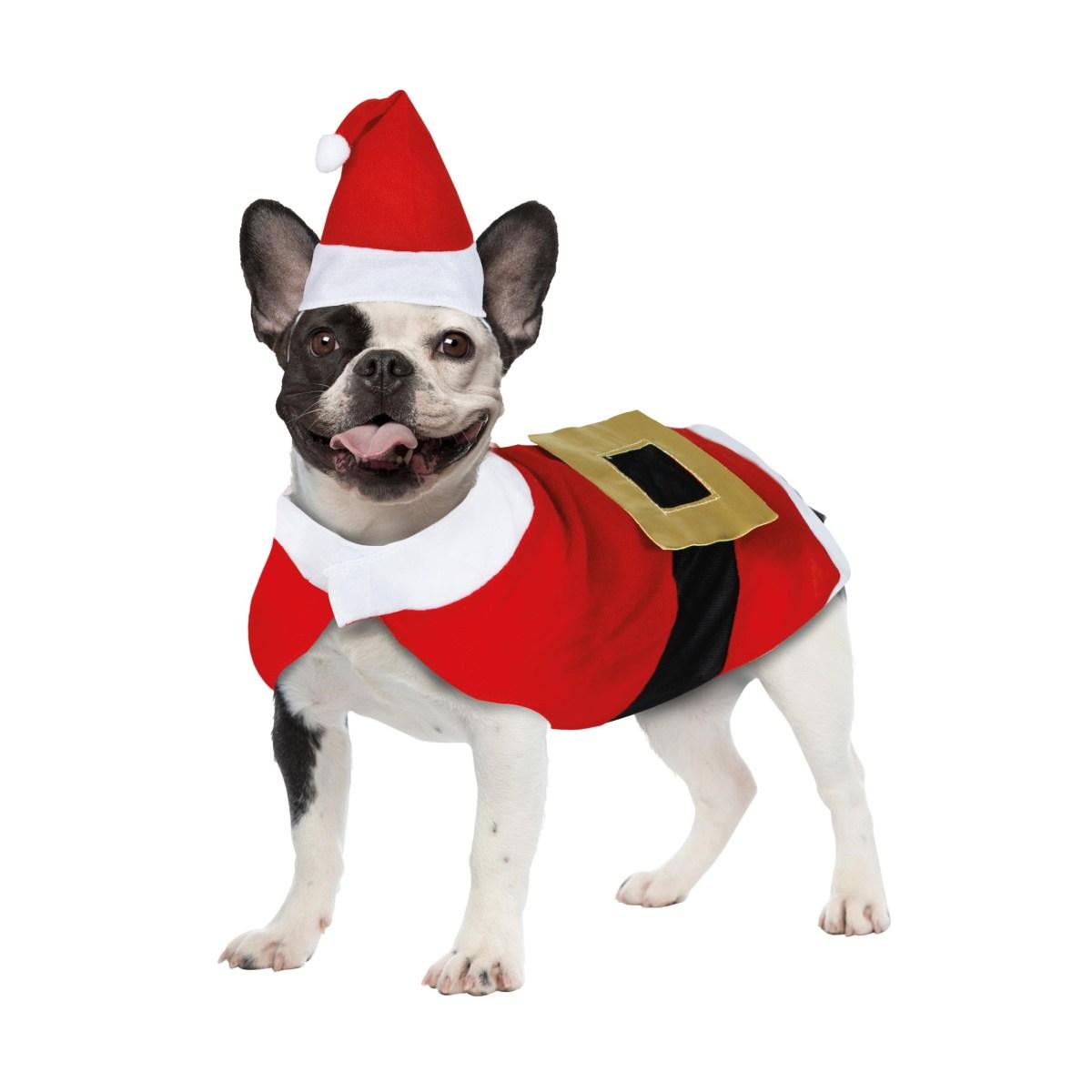 Costume natale babbo per cani