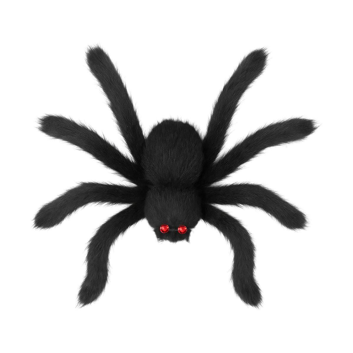 Ragno peloso