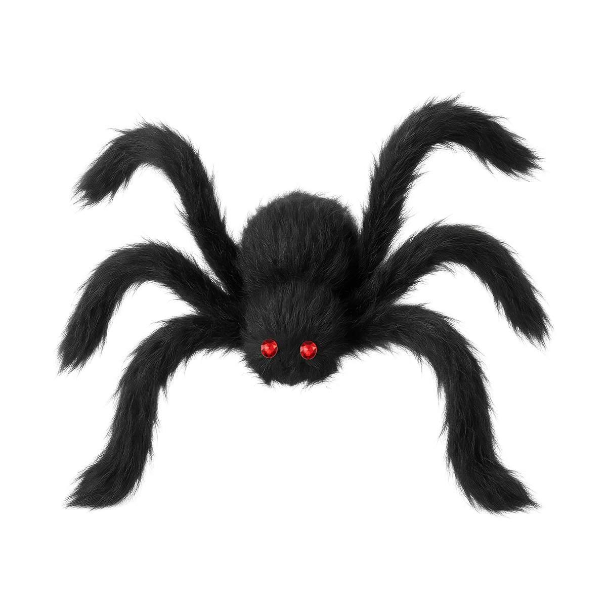 Ragno peloso