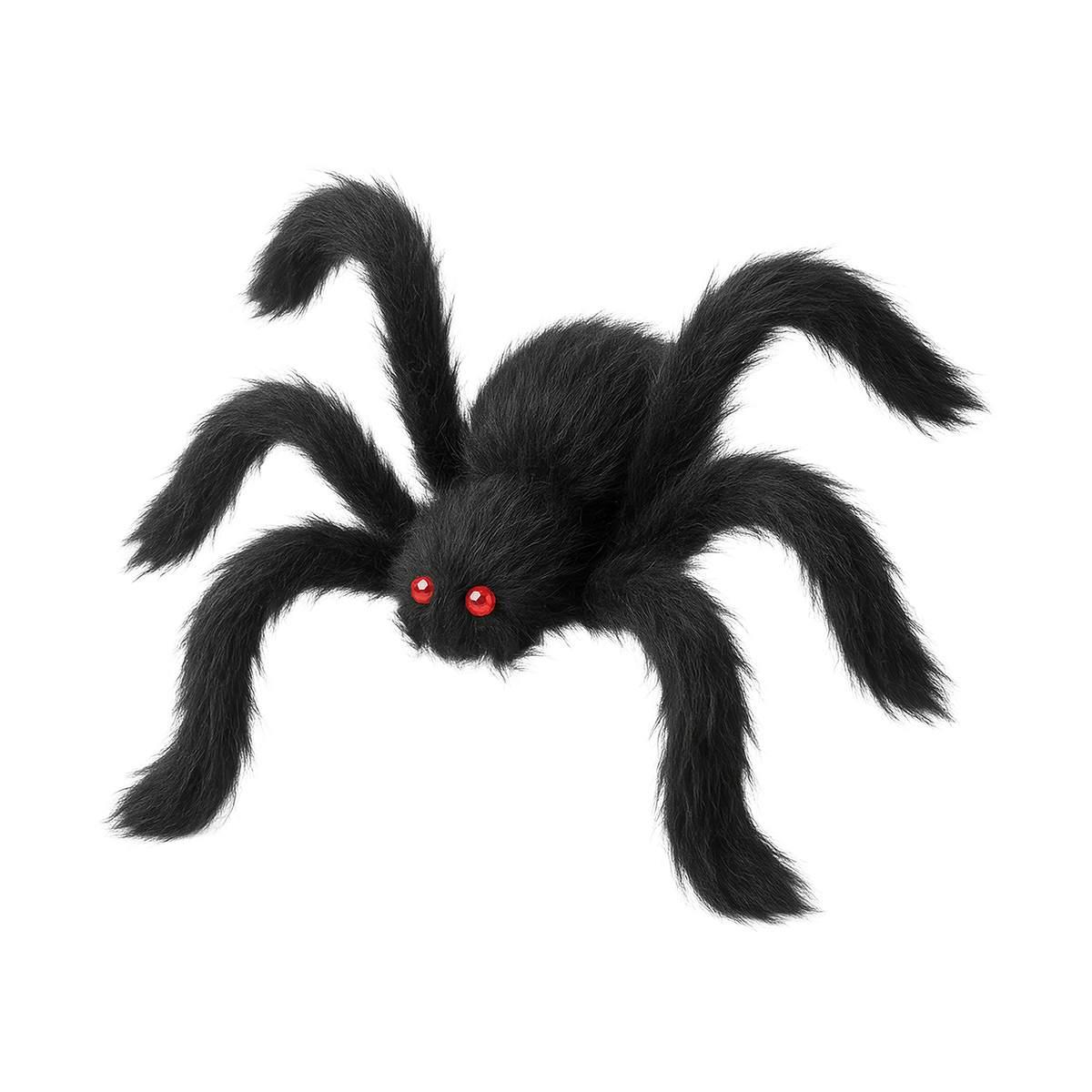 Ragno peloso