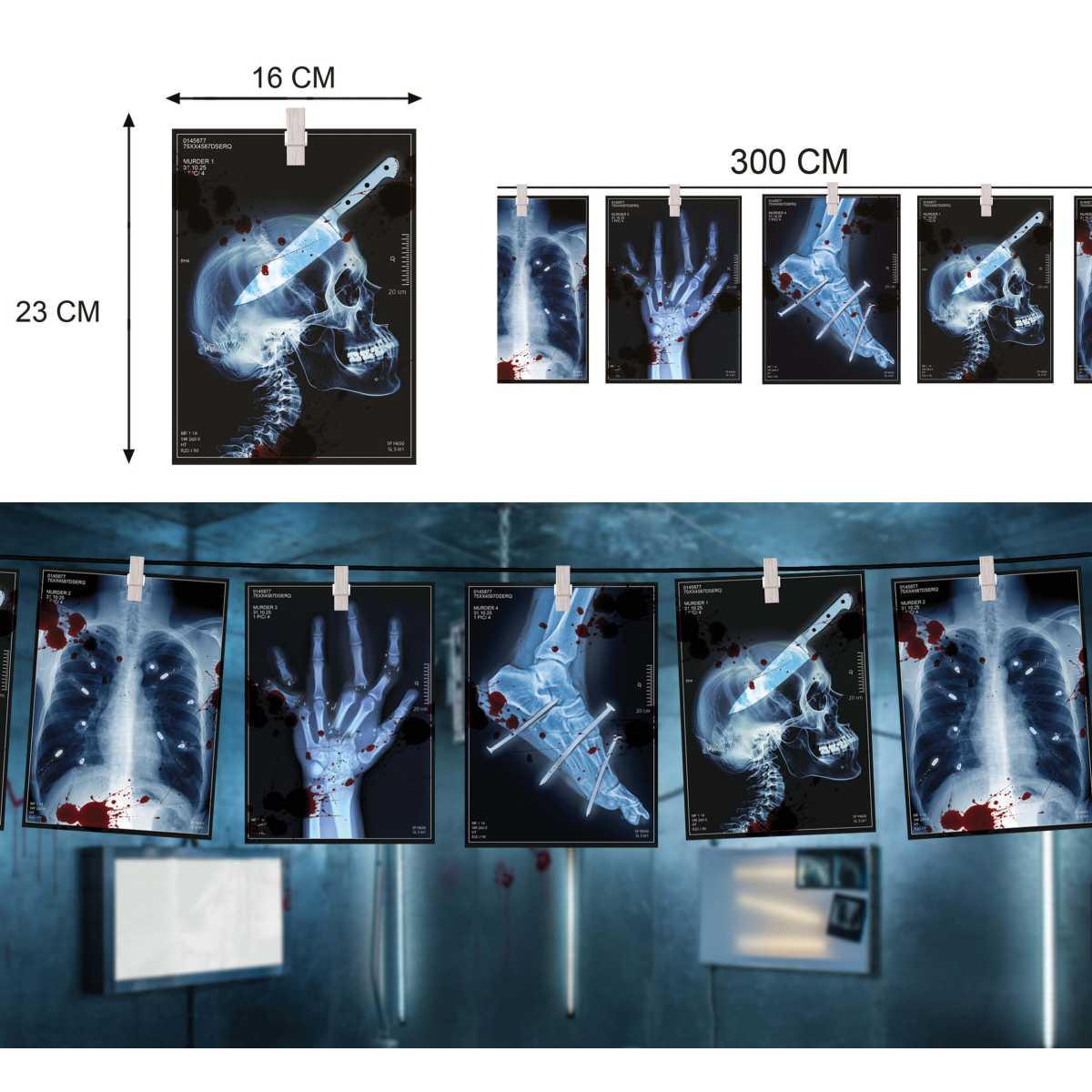 Festone halloween radiografie